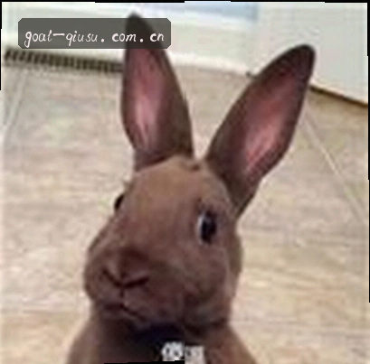 刘洋